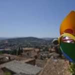 _DSC7703